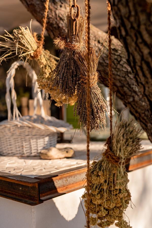 Plage Cachee - Glamping Vrboska Εξωτερικό φωτογραφία